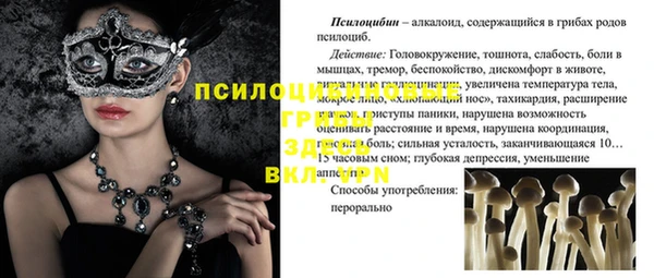 стафф Вязники