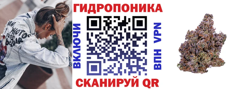 Бошки марихуана Bruce Banner  продажа наркотиков  Иваново 